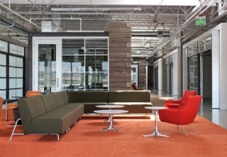 市政綠化 市政綠化