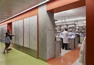 微生物實驗室搭建 微生物實驗室搭建